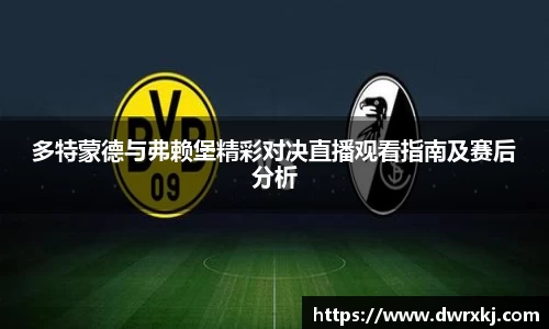 多特蒙德与弗赖堡精彩对决直播观看指南及赛后分析