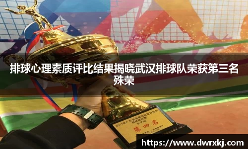 排球心理素质评比结果揭晓武汉排球队荣获第三名殊荣