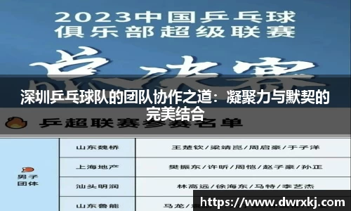 深圳乒乓球队的团队协作之道：凝聚力与默契的完美结合